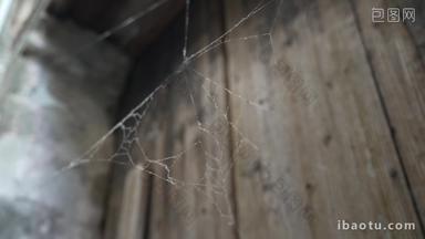 无人居住的房子到处蜘蛛网和草